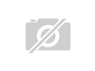 Süsse Meerschweinchenbaby s abzugeben